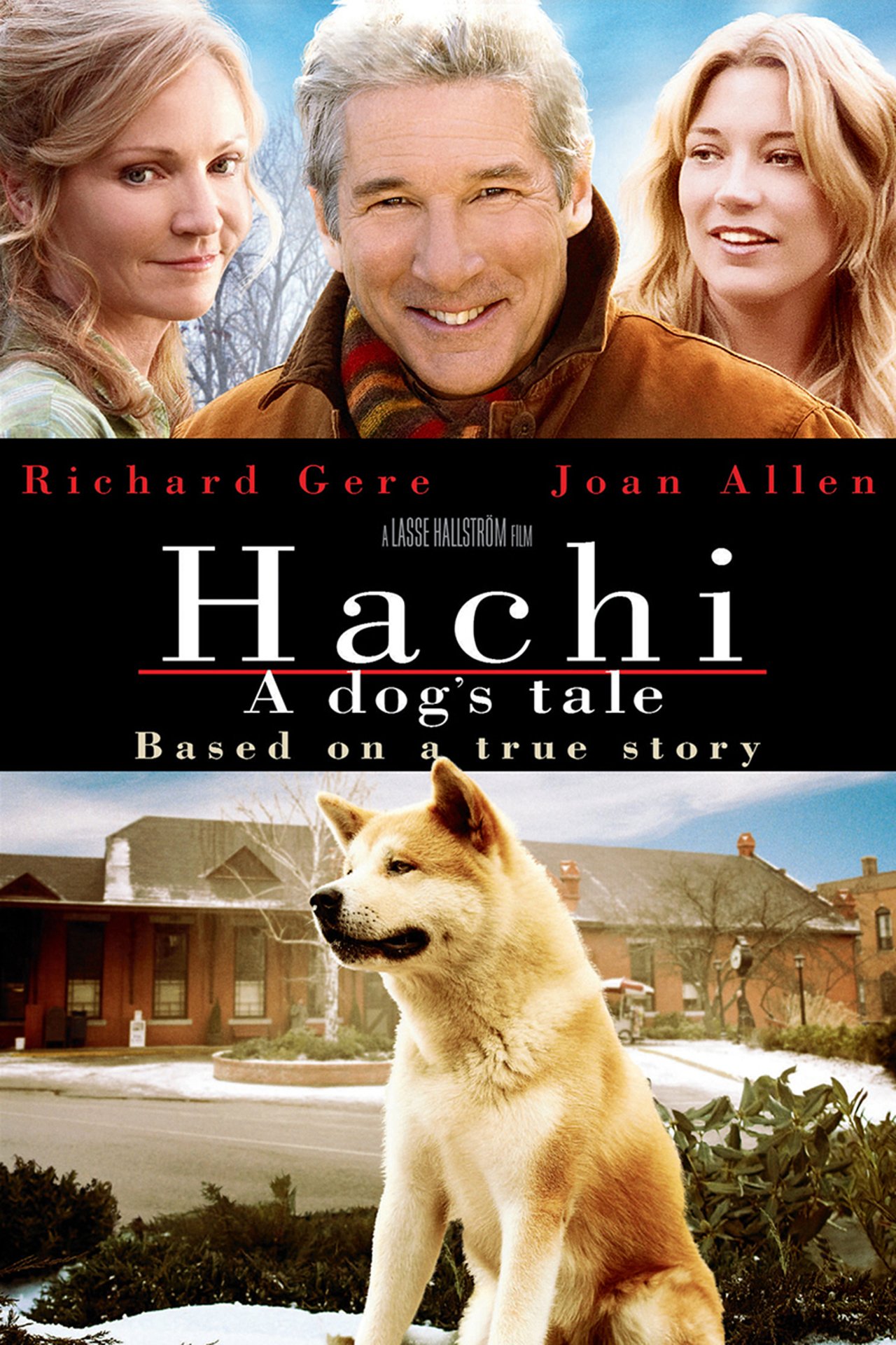 hachi a dogs tale hachi licks